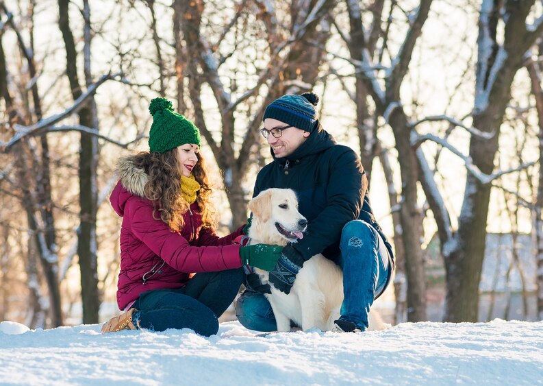 5 vinteraktiviteter du kan planlegge med kjæledyret ditt